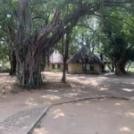 FA6 Family cottage