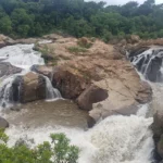 Lowveld National Botanical Garden