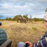 Full day Kruger National Park safari