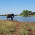 Shishangeni by BON Hotels
