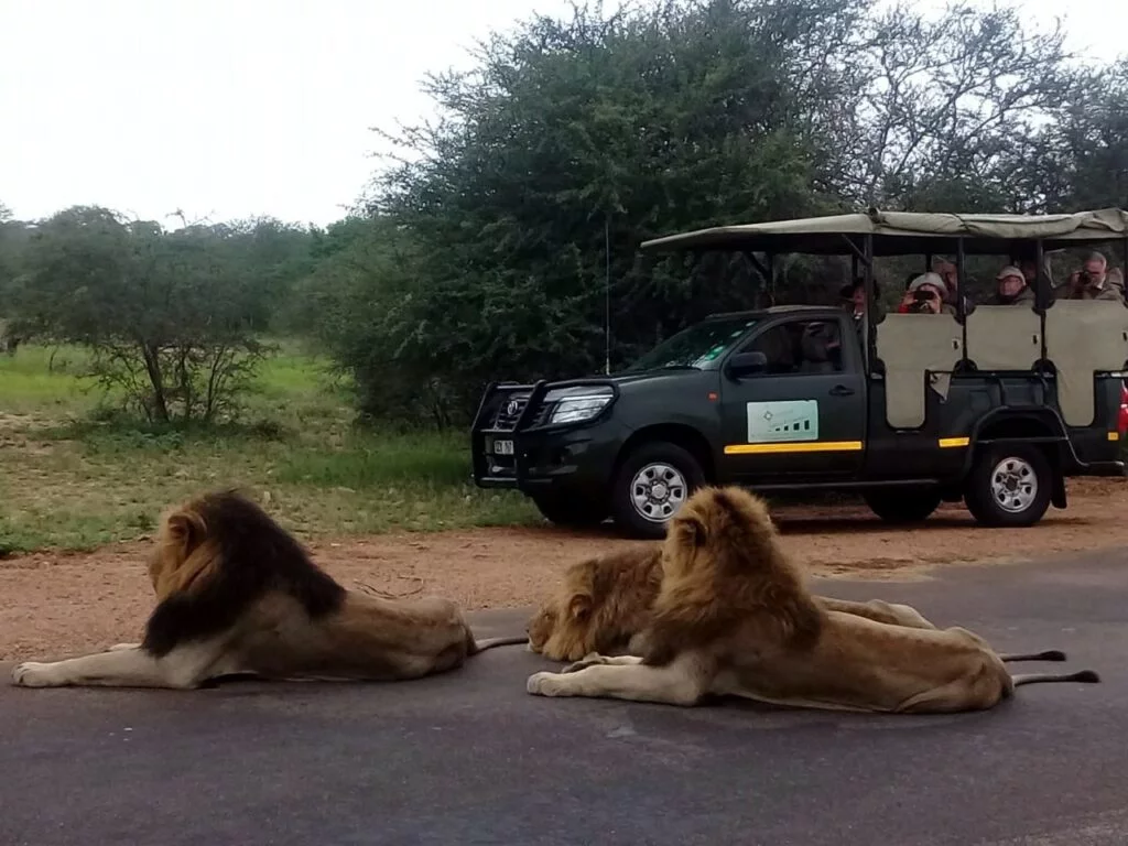 Eastgate Safaris & Transfers