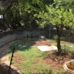 Hoedspruit Reptile Centre