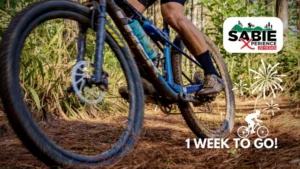 Sabie Xperience