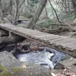 7km Matumi Trail (Marked with white sign boards)