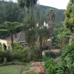 Ligna Lodge