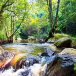 26km Two day Montrose Overnight trail (Starts with orange signs and back with white signs)
