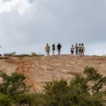 Full day Kruger National Park safari