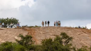 Full day Kruger National Park safari