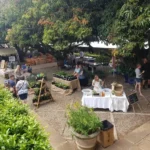 Casterbridge Country Market – Every 1st Sunday
