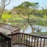 Hippo Waterfront Lodge & Lion Caravan Stands