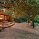 Umlani Bushcamp