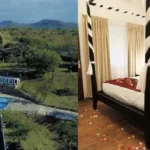 African Rest Lodge & Self Catering