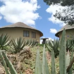 Mountain Aloe Den