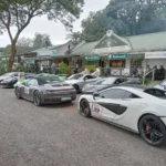 The Wild Fig Tree Restaurant