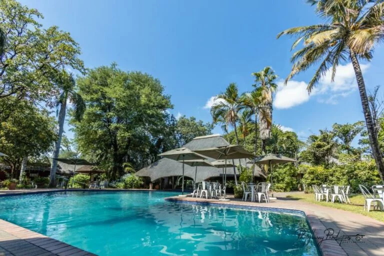 Sefapane Lodges & Safaris