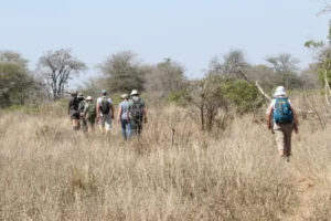 Wilderness trails- Mathikithi Trail