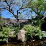 Skukuza Indigenous Plants Nursery