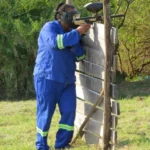 Paintball
